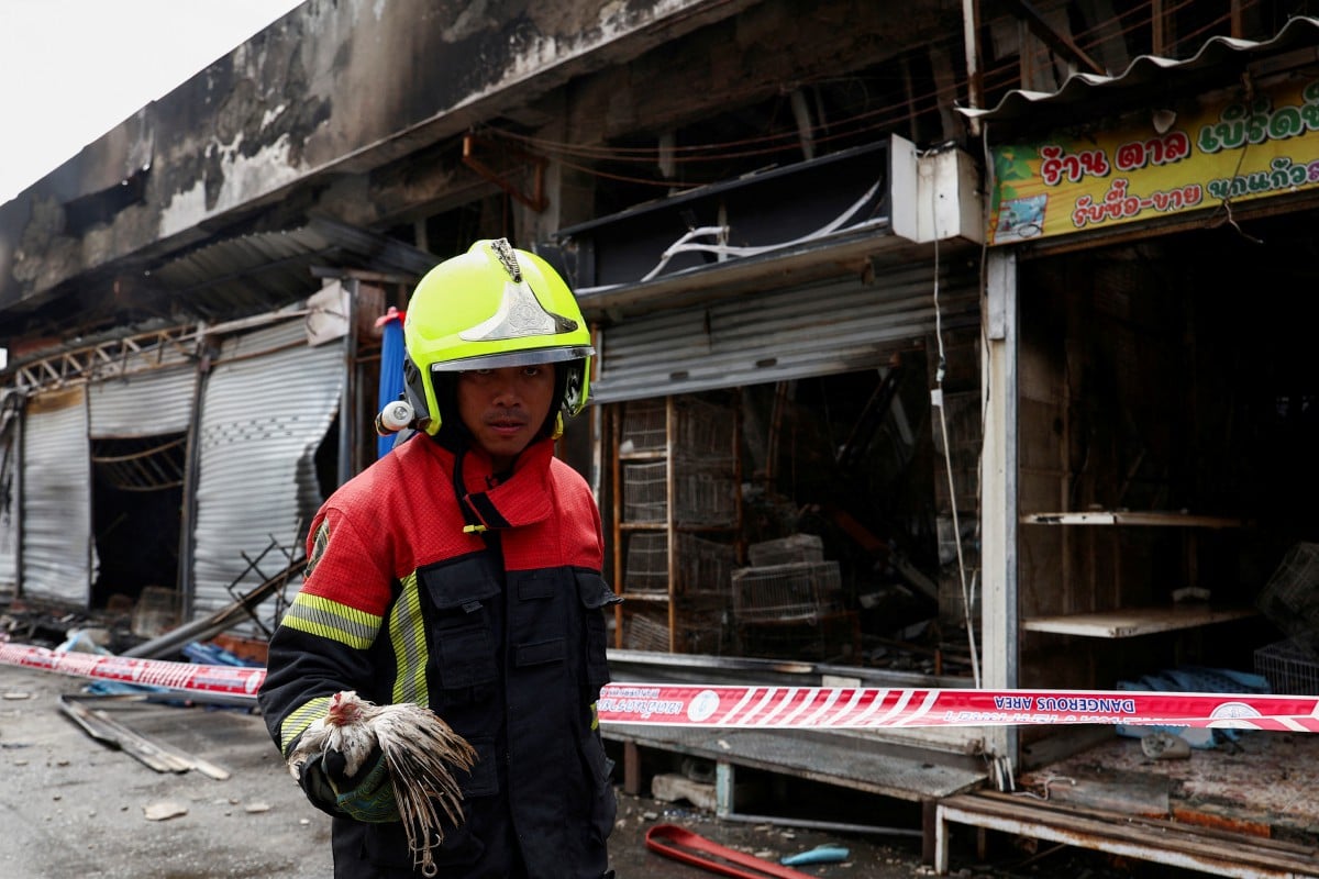 Anggota bomba menyelamatkan seekor burung selepas berjaya mengawal kebakaran di Pasar Hujung Minggu Chatuchak. - FOTO Reuters