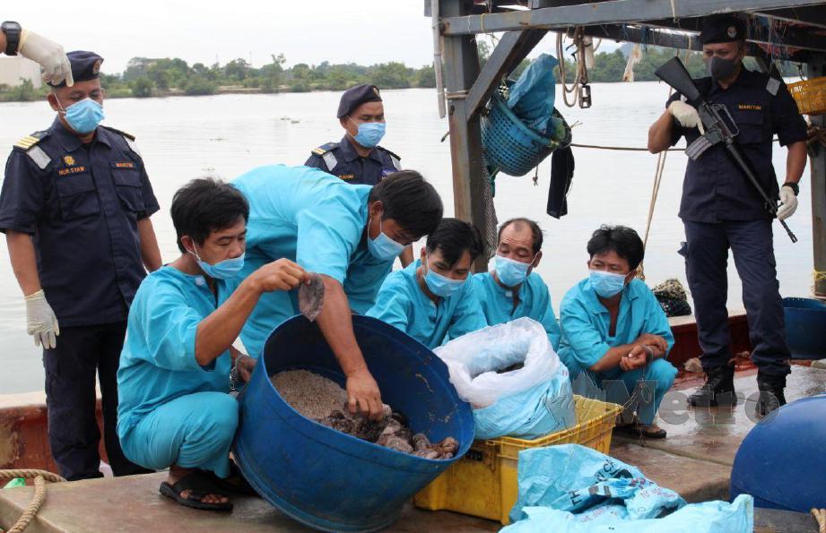 ANGGOTA APMM memeriksa gamat setelah menahan sebuah bot nelayan Vietnam tanpa nombor perdaftaran. FOTO Nik Abdullah Nik Omar