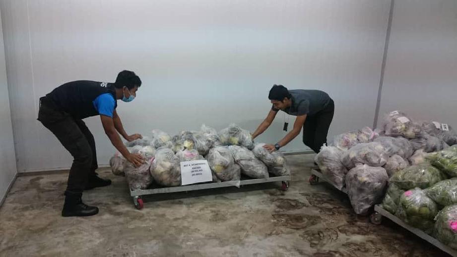 SEBAHAGIAN rampasan buah mangga dan ubi keladi bernilai RM1,206 yang dirampas dari sebuah lori yang membawa hasil keluaran pertanian itu dari Thailand. FOTO ihsan MAQIS