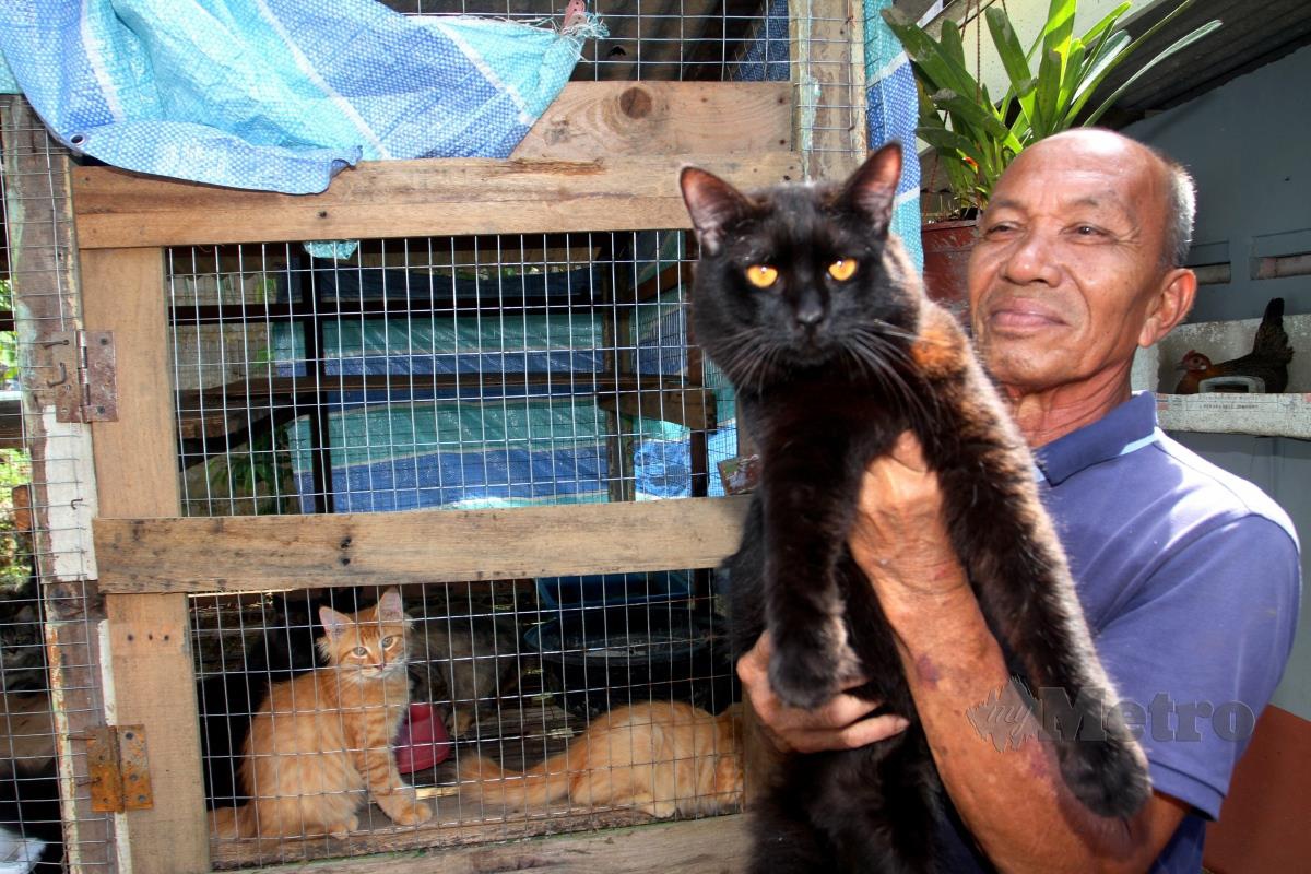 AYUB bersama sembilan ekor kucingnya yang dapat diselamatkan dari hanyut dibawa arus deras selepas hujan lebat dan banjir kilat di rumahnya di Jalan Permatang 7, Kempas Johor Bahru.  FOTO Zain Ahmed