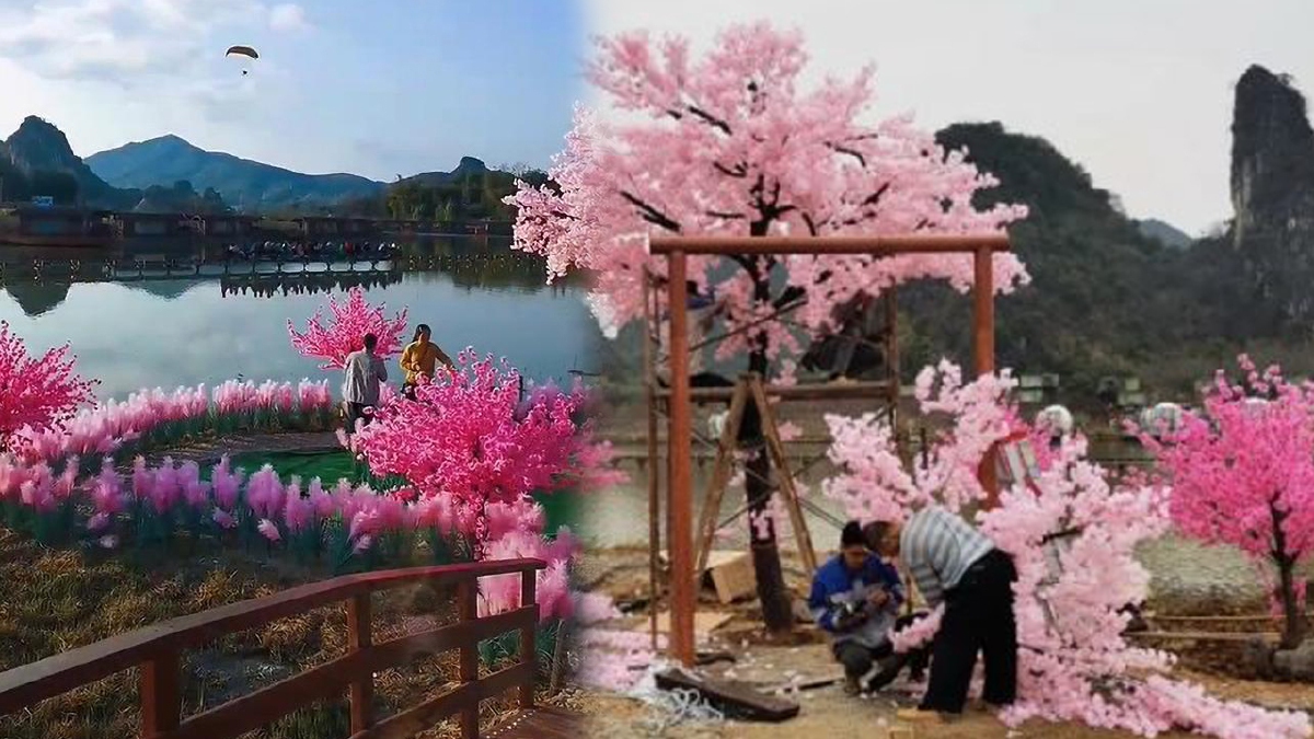 PEMANDANGAN tanah terbiar yang kini dihiasi pokok Cherry Blossom buatan, buaian dan batu sungai menarik perhatian pengunjung yang datang untuk bergambar.