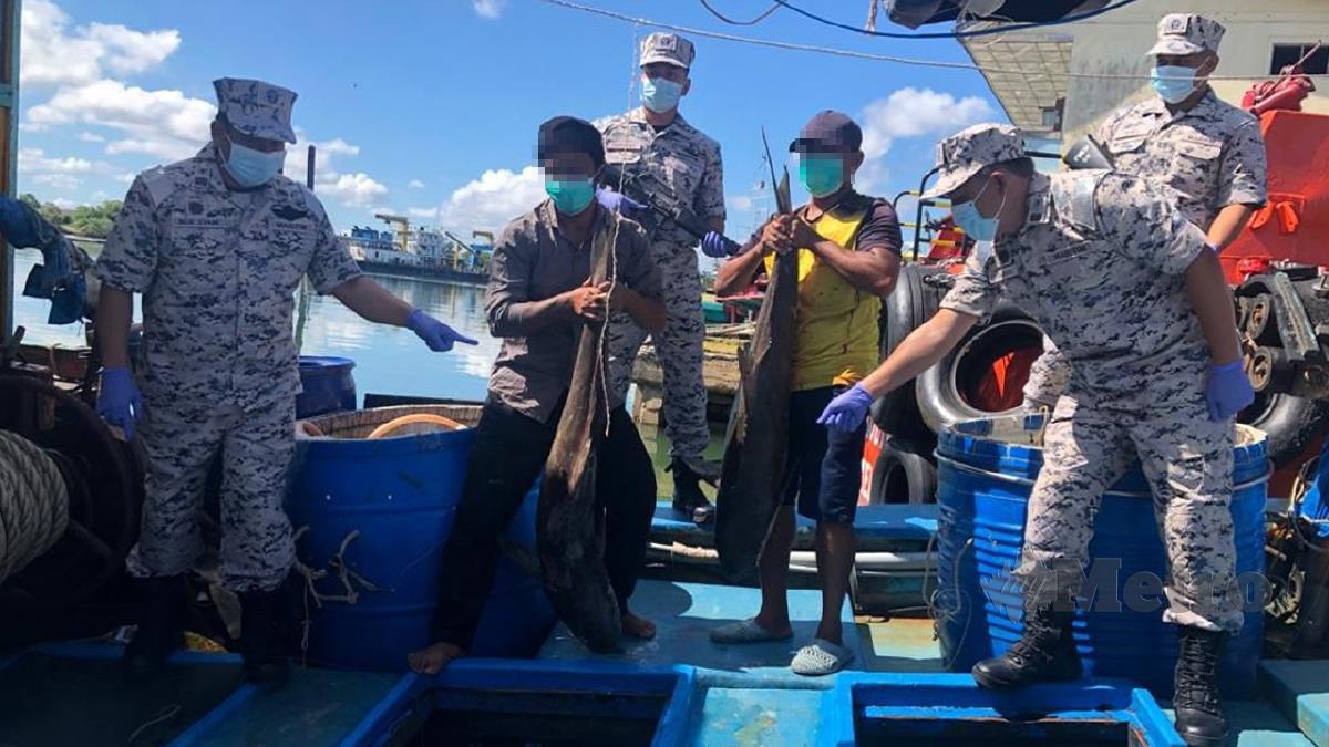 NELAYAN warga Vietnam ditahan bersama 100 kilogram ikan pelbagai jenis yang menceroboh perairan negara ditangkap APMM pada Ahad. FOTO ihsan APMM
