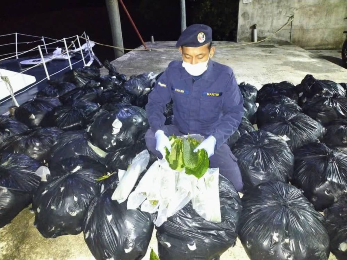 SEBAHAGIAN dari bungkusan yang mengandungi 450 kg daun ketum yang ditemui dan dipercayai untuk diseludup ke negara jiran. FOTO ihsan APMM