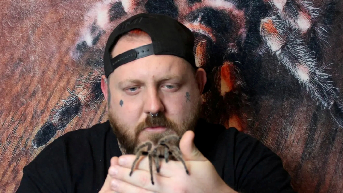 ARACHNOPHILE Aaron Phoenix  bersama tarantula peliharaannya.FOTO Agensi
