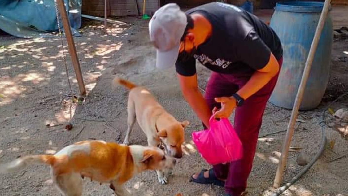 BADROL Hisham Ramli mengambil alih untuk menjaga anjing dan kucing di Pak Mie Shelter setelah kematian ibunya Februari lalu. FOTO ihsan Badrol Hisham Ramli