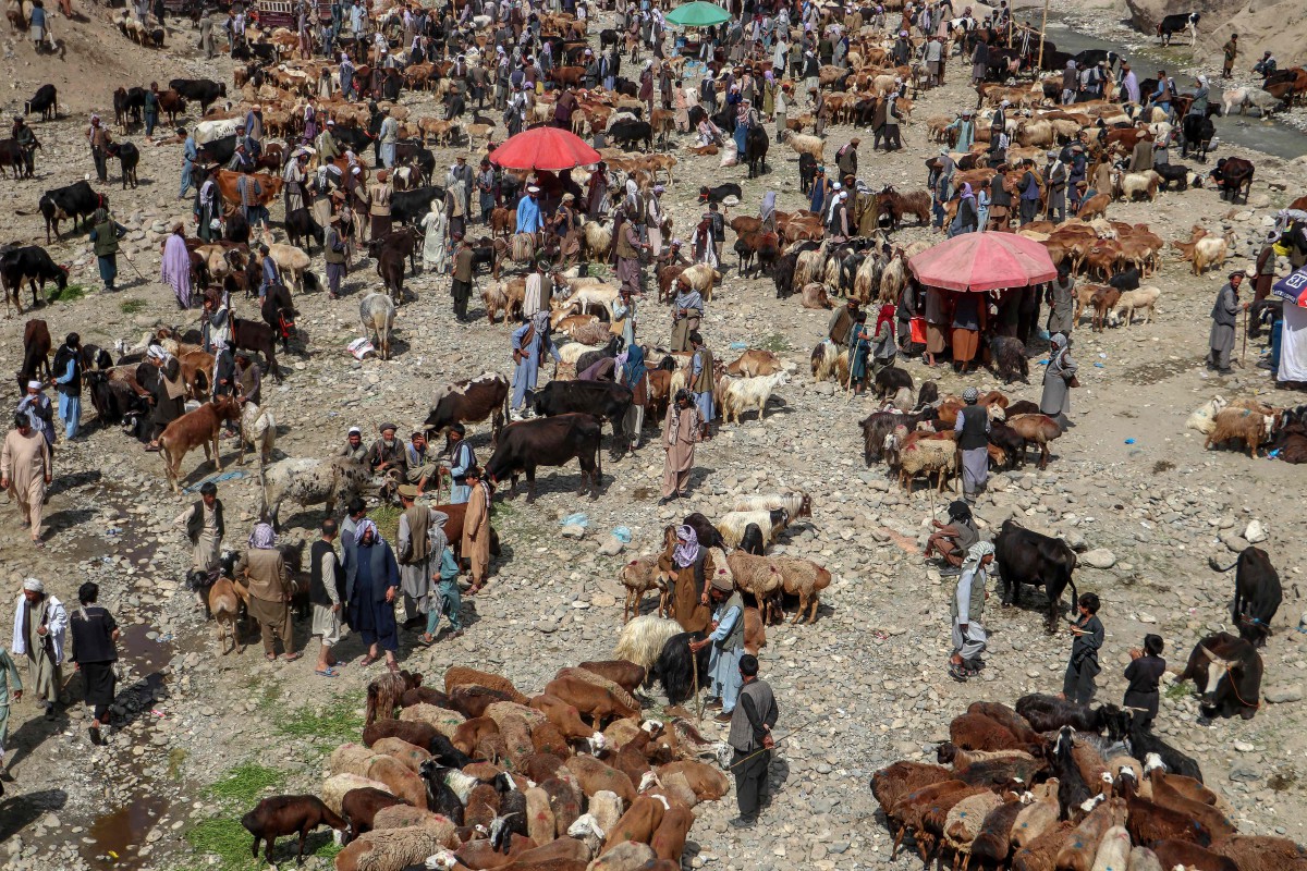 Keadaan di sekitar pasar yang menawarkan haiwan korban di Fayzabad, wilayah Badakhshan, Afghanistan. - FOTO AFP