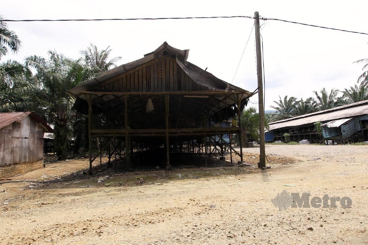 KEADAAN ladang ternakan ayam menggunakan konsep lama di Kampung Tualang, Beruas. FOTO Sharul Hafiz Zam