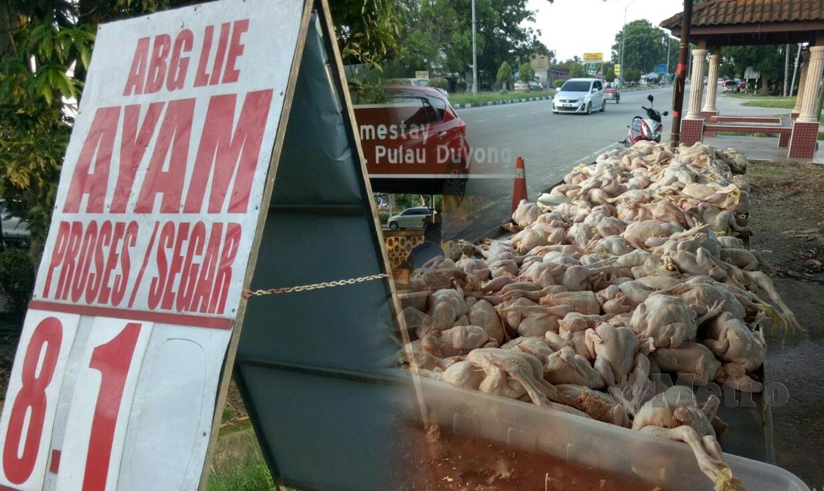 PENIAGA dibahu jalan menjual harga ayam segar antara RM8.10 dan RM9.00 sen sekilogram. FOTO Baharom Bakar