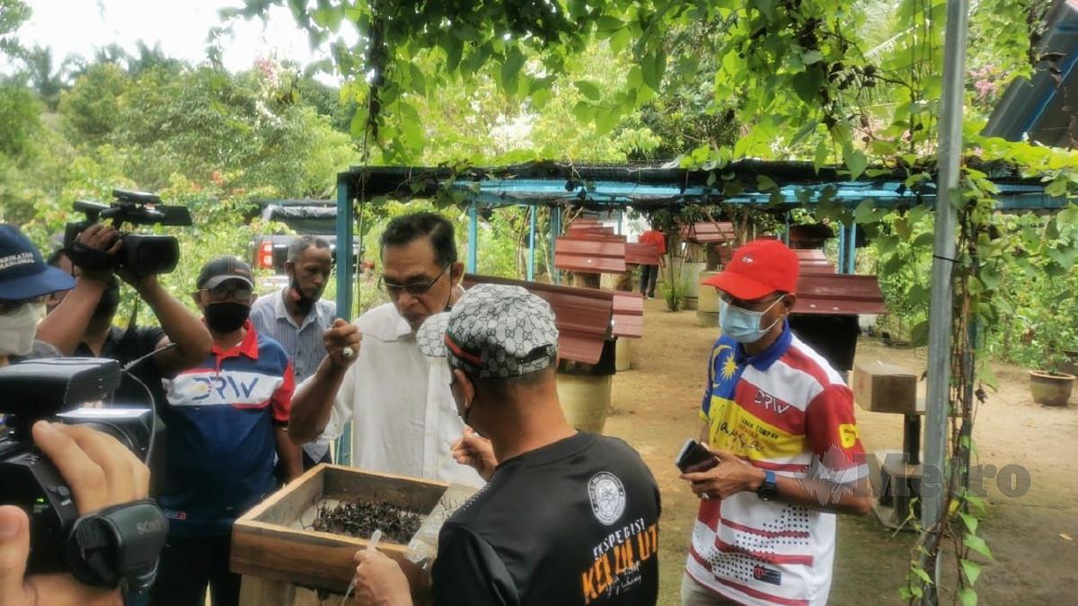 DATUK Rosol Wahid (tengah) ketika ditemui pada Lawatan Ke Penternakan Kelulut di Kampung Machang, Ajil. FOTO Zatul Iffah Zolkiply