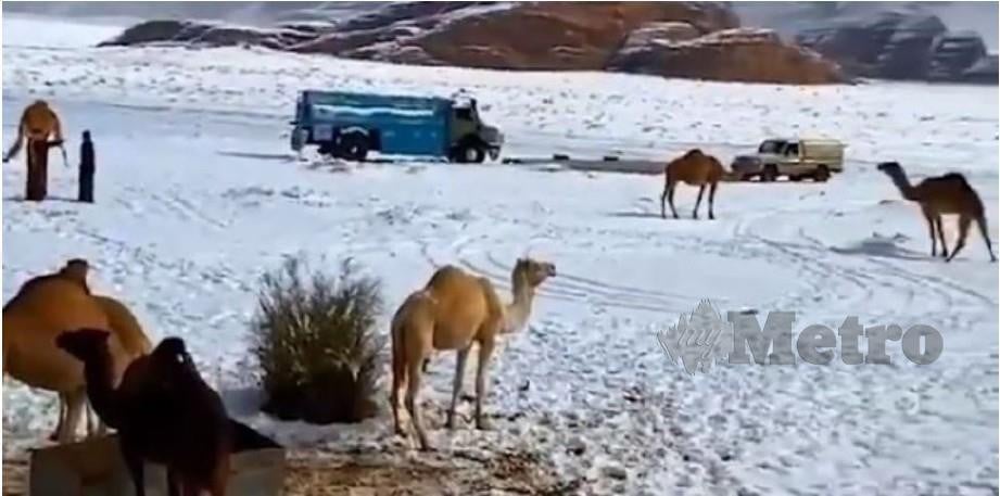 Salji Di Arab Saudi Video