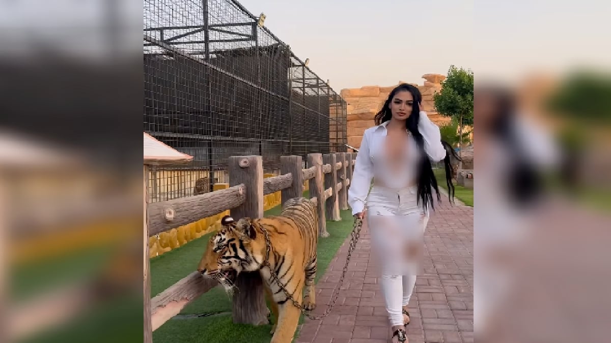 Tindakan pempengaruh media sosial Nadia Khair membawa harimau bersiar-siar cetus pertikaian pelbagai pihak. FOTO Agensi