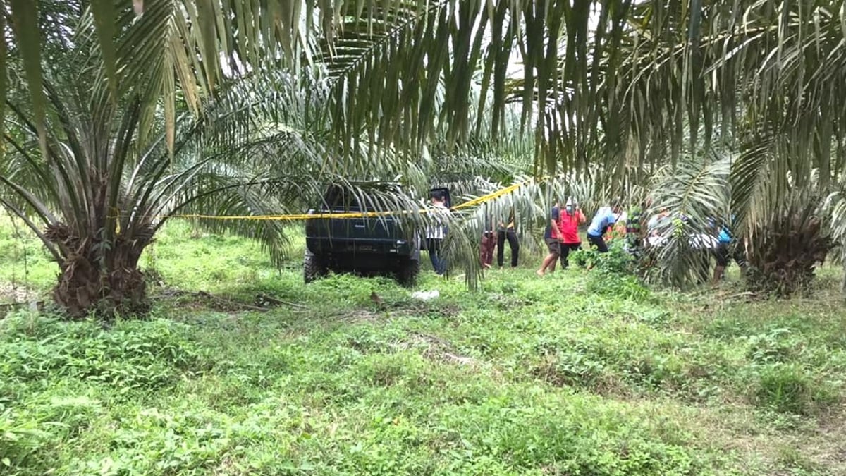 KENDERAAN pacuan empat roda milik peneroka FELDA Serting Hilir 7 ditemui selepas terbabas ke dalam kebun kelapa sawit di Ladang Geddes pagi semalam. FOTO ihsan polis
