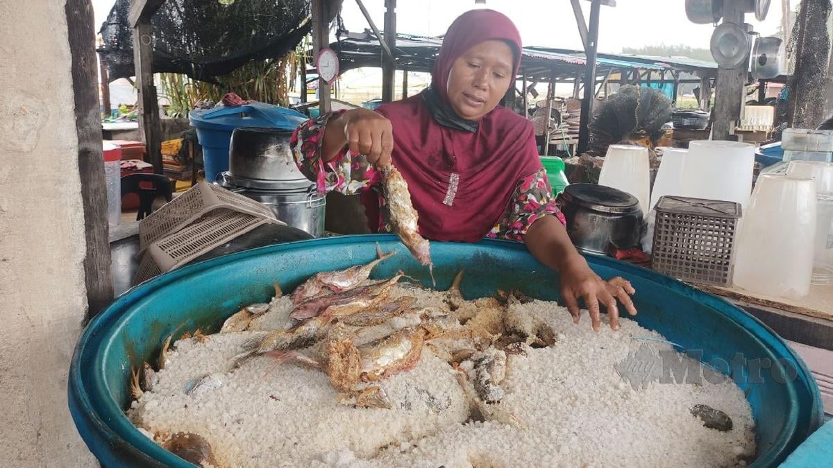 WAN Sapiah Wan Yusoff, 43, menunjukkan ikan tongkol yang diproses menjadi ikan budu dan diperam selama enam bulan. FOTO Siti Rohana Idris
