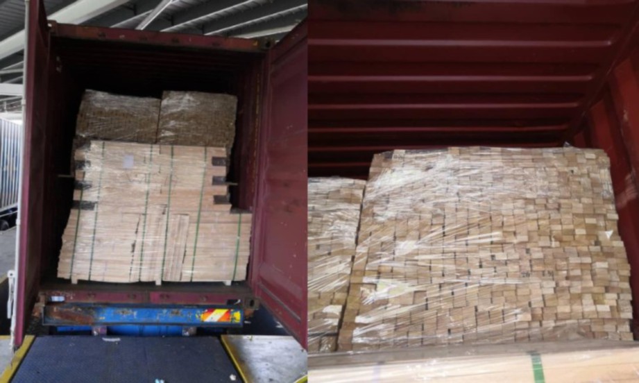 MAQIS Johor menggagalkan cubaan  membawa masuk kayu bernilai RM542,286.43 dari China di Pelabuhan Tanjung Pelepas, Gelang Patah. FOTO ihsan MAQIS Johor