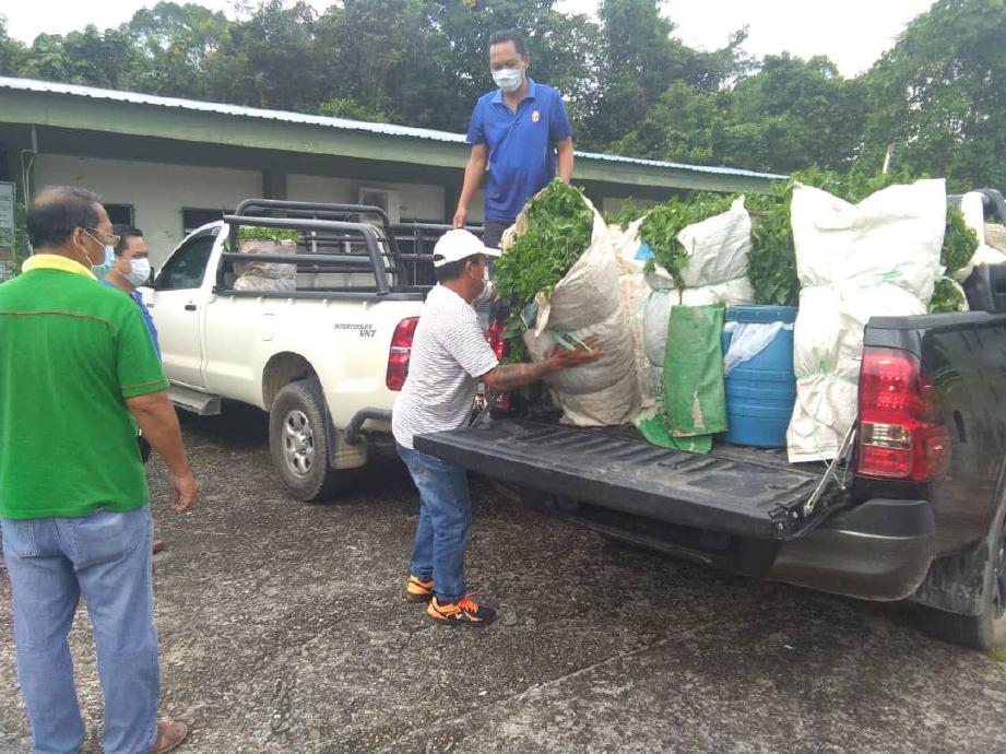PETANI menghantar hasil pertanian mereka kepada wakil FAMA dan Pertubuhan Peladang Sarawak untuk dipasarkan. FOTO ihsan Pejabat Timbalan Ketua Menteri