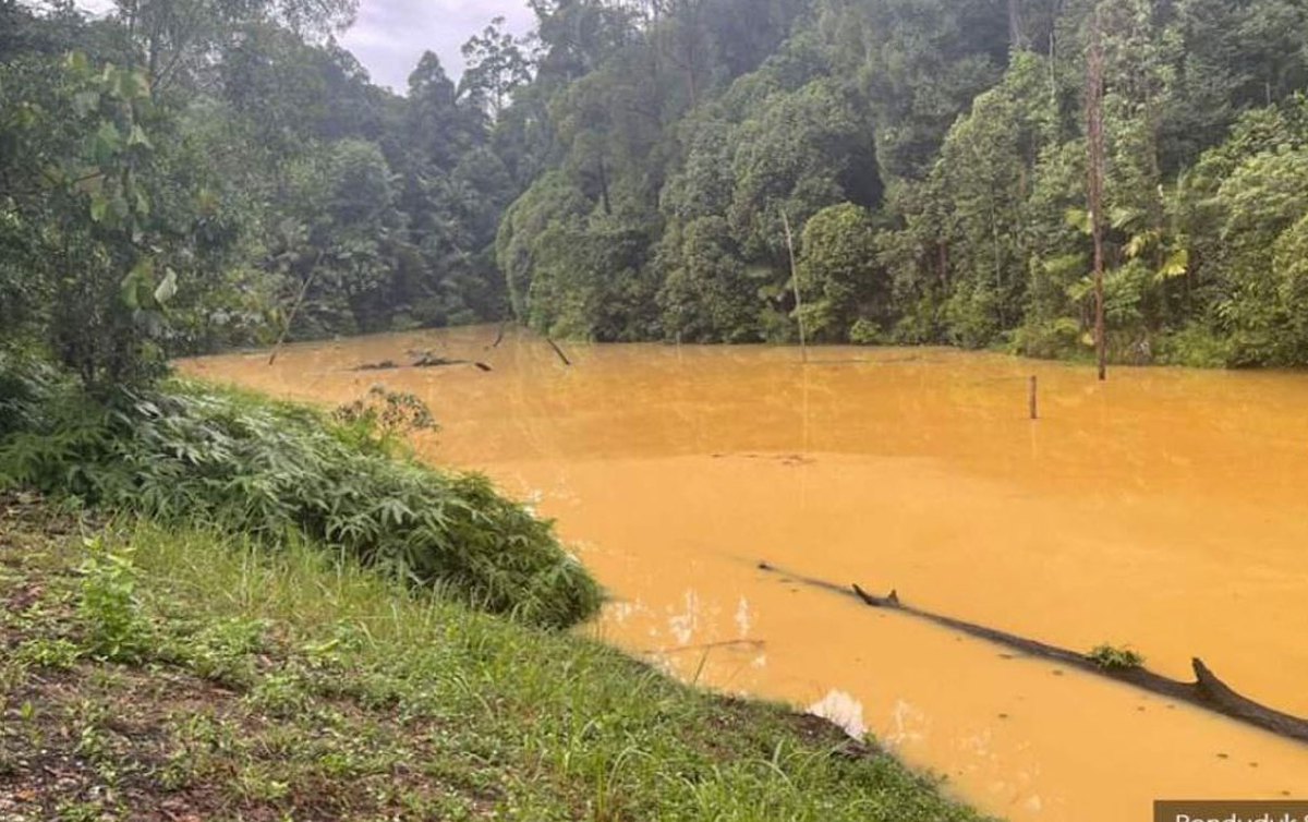 TANGKAP layar berhubung laporan portal berita berhubung warna air tasik Bukit Cherakah berwarna seperti the tarik'. FOTO ihsan PEMBACA