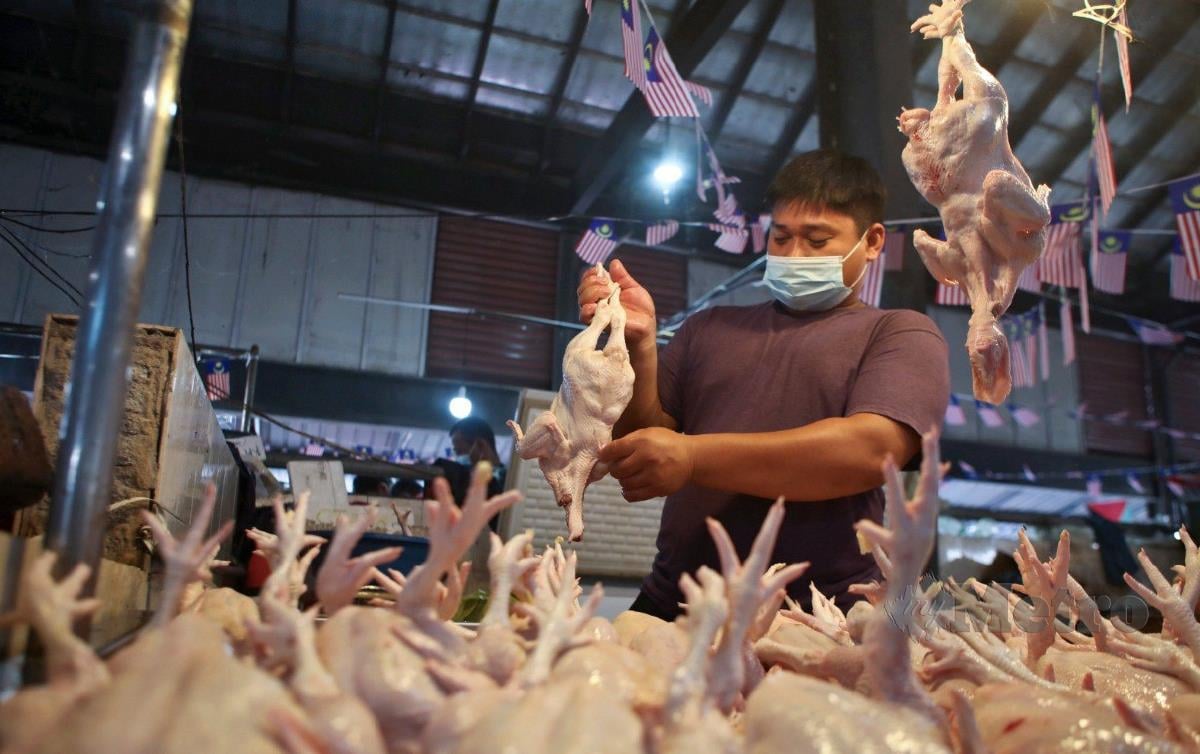 TINJAUAN harga ayam di Pasar Chabang Tiga, Kuala Terengganu. FOTO Ghazali Kori
