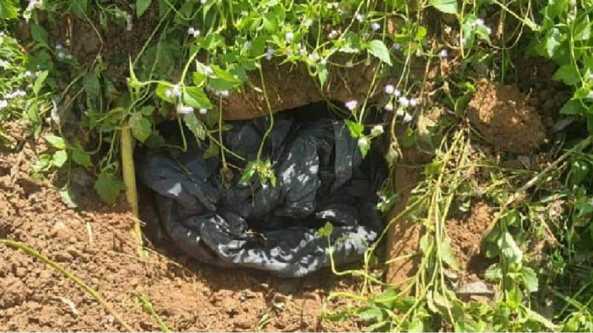 Bungkusan berisi dadah syabu seberat 1.5 kilogram yang ditanam oleh suspek. FOTO Ihsan PDRM