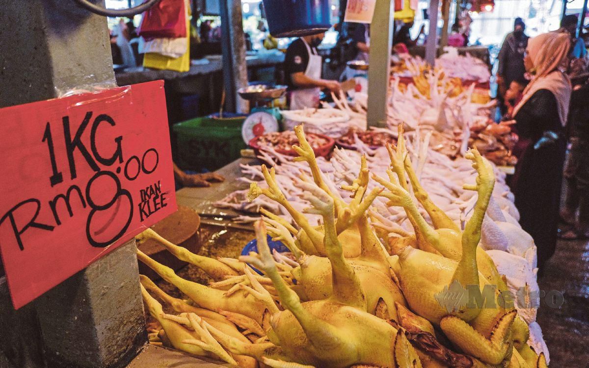 TINJAUAN harga bekalan ayam, ikan dan sayur di Pasar Chow Kit. FOTO HAZREEN MOHAMAD