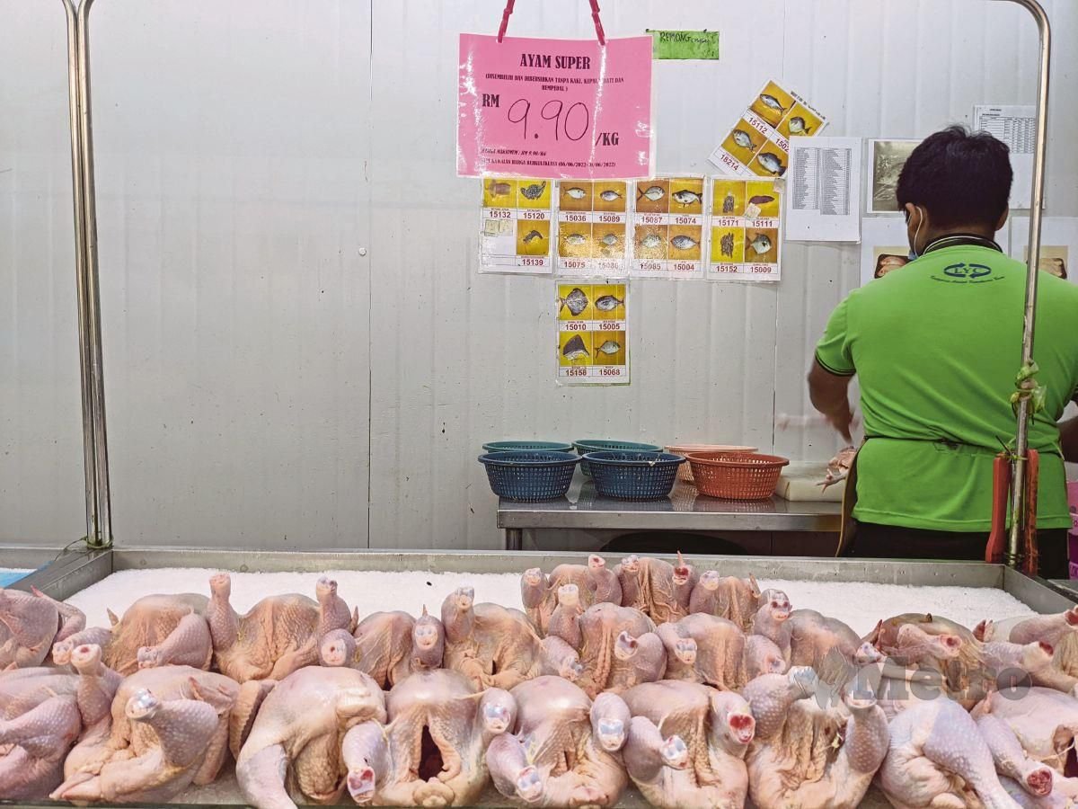 TINJAUAN harga bekalan ayam, ikan dan sayur di sebuah Pasar Raya. FOTO Genes Gulitah