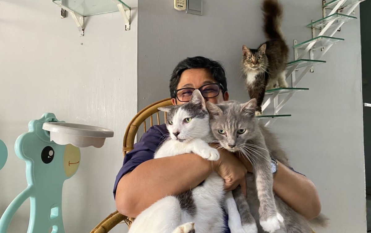 Cik Todd bersama beberapa kucing milik Allahyarham Adibah Noor.
