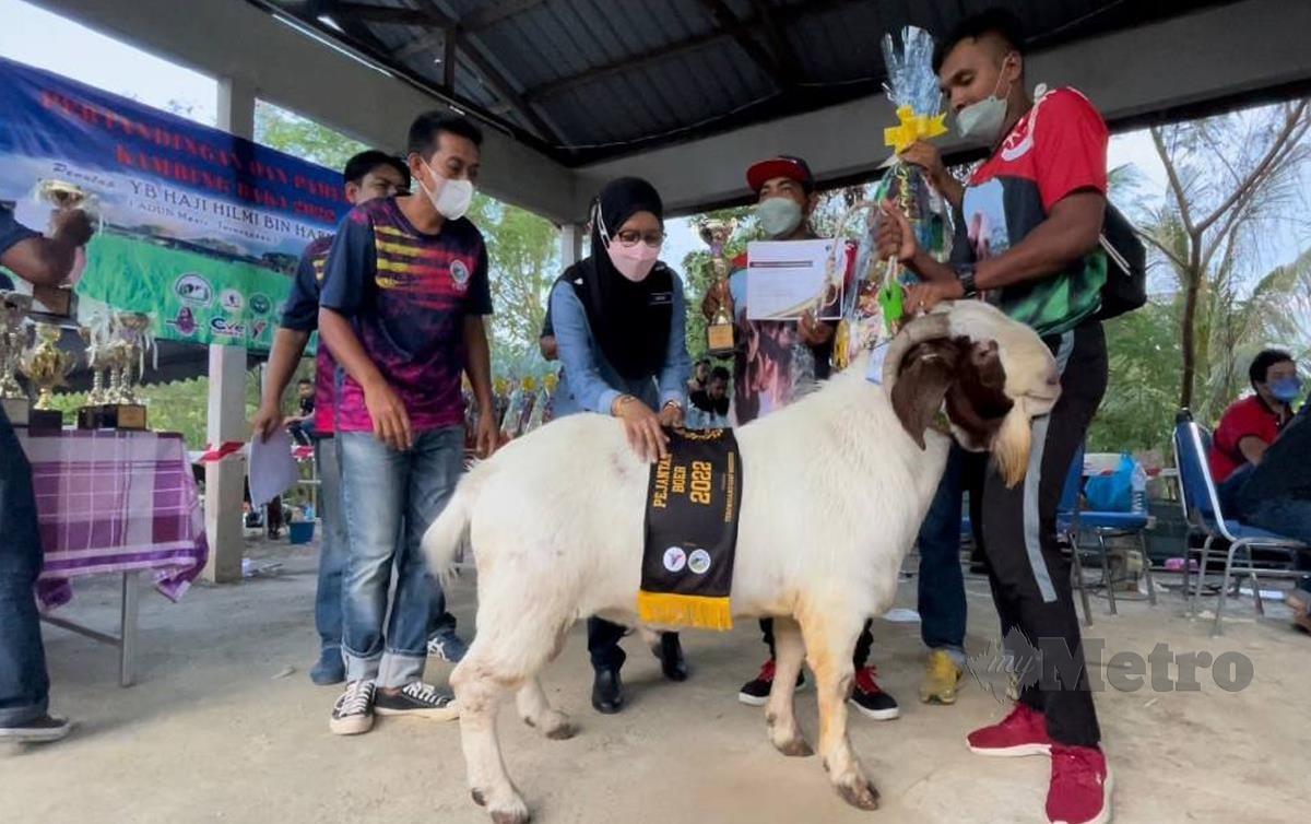 DR Anum Man (dua dari kiri) menyampaikan hadiah kepada Mohd Faiz (kiri) dari Kampung Telaga Papan, Semerak, Pasir Putih bersama kambing baka boer yang berharga RM29,000 yang dinobatkan sebagai juara kategori baka boer terbaik. FOTO Ahmad Rabiul Zulkifli