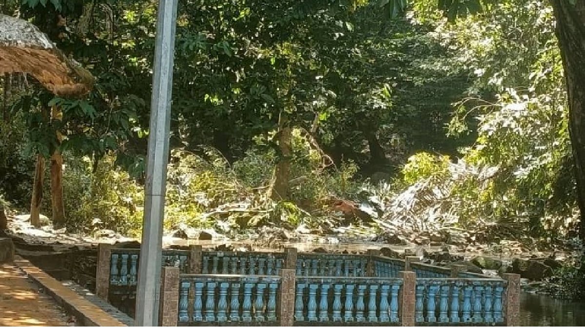 Lokasi kejadian pokok tumbang disebuah pusat rekreasi yang mengorbankan kanak-kanak empat tahun dan mencederakan kakaknya. Foto Ihsan Polis.