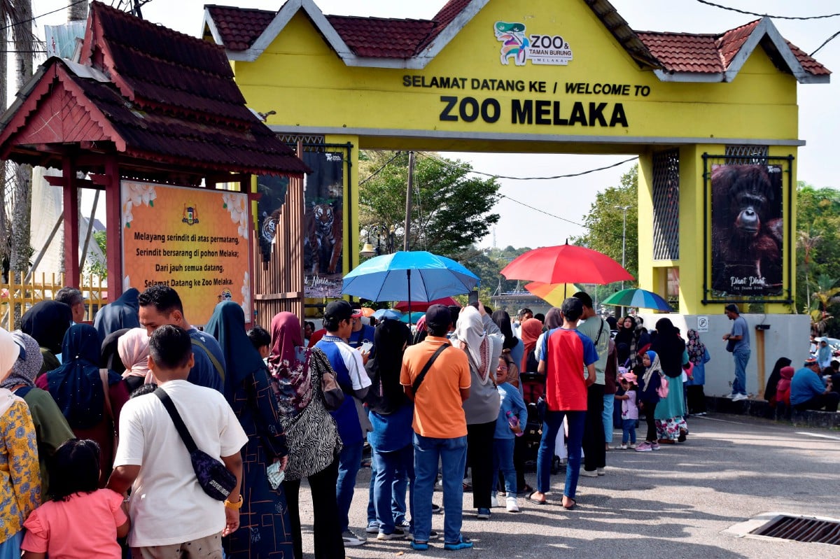 Pengunjung dari dalam dan luar Melaka beratur panjang untuk masuk percuma ke Zoo Melaka. FOTO BERNAMA