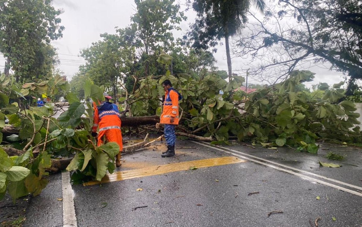 ANGGOTA APM Negeri Perlis sedang membersihkan pokok tumbang di beberapa batang jalan raya di Kangar selepas hujan lebat dan angin kencang berlaku di Perlis sejak awal pagi ini. FOTO ihsan APM Perlis
