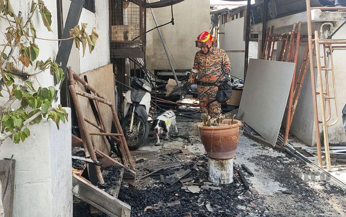 ANJING dari Unit K9 JBPM melakukan siasatan di lokasi kebakaran membabitkan sebuah hotel dua tingkat.