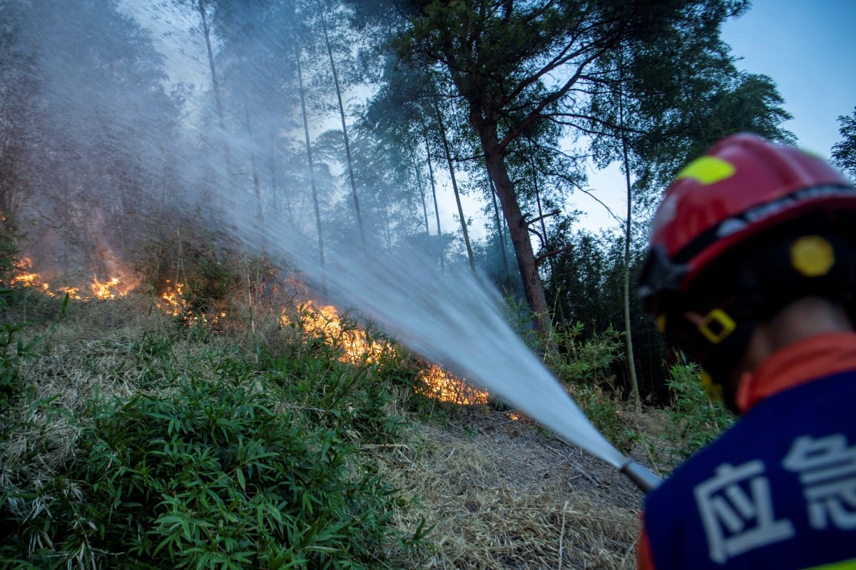 Anggota bomba mengawal kebakaran hutan di Luzhou, wilayah Sichuan, China. - FOTO Reuters