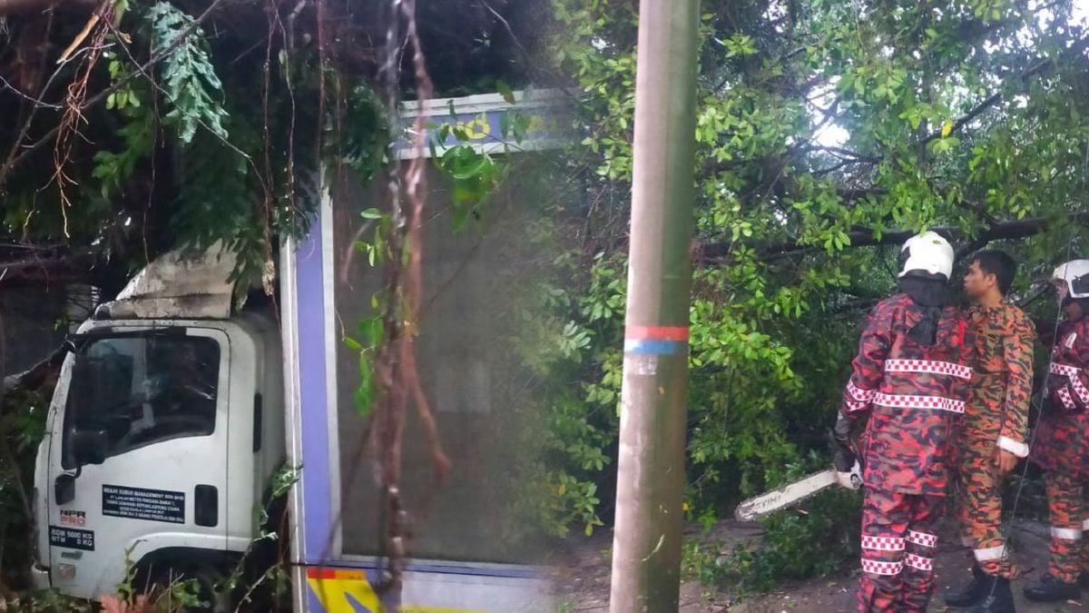 (kanan) ANGGOTA bomba memotong pokok tumbang di TTDI dan UM, Kuala Lumpur, akibat hujan lebat dan angin kuat, hari ini. (kiri) ANTARA kenderaan yang dihempap pokok tumbang dalam kejadian itu.  FOTO Ihsan Bomba
