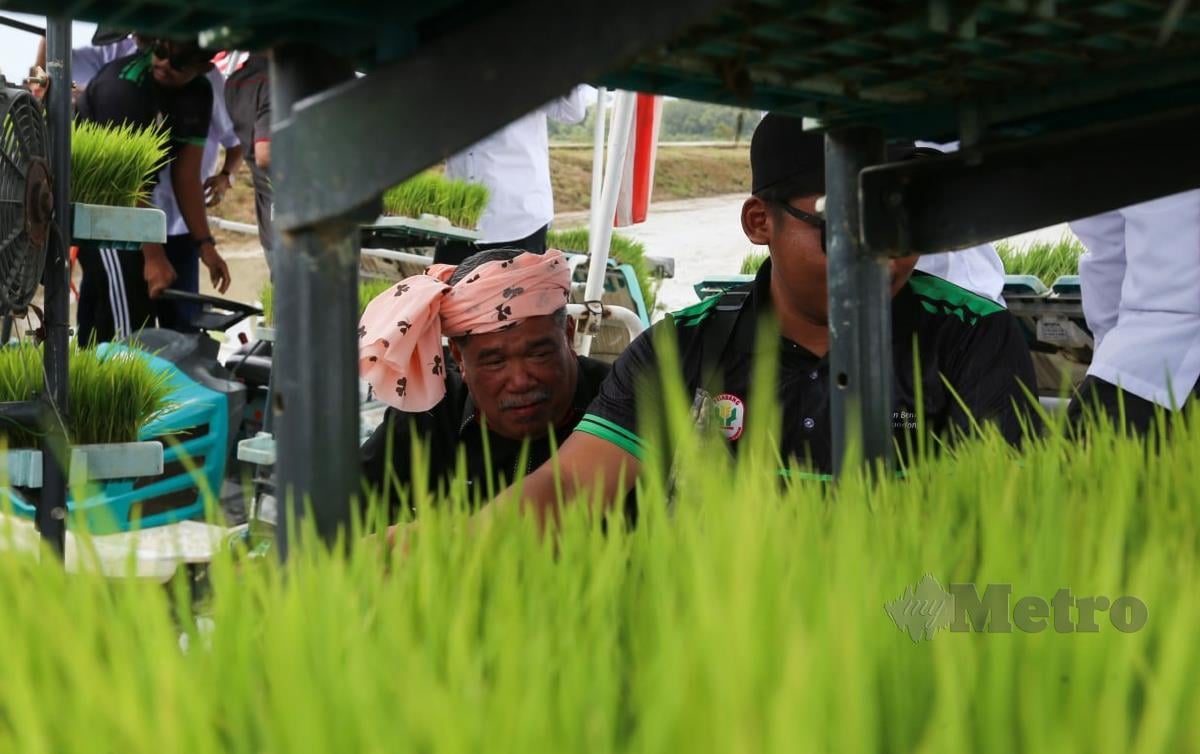 SABU mengendali jentera mesin menanam padi selepas Majlis Perasmian Projek Smart Sawah Berskala Besar (SMART SBB) Ala Sekinchan. FOTO Nik Abdullah Nik Omar