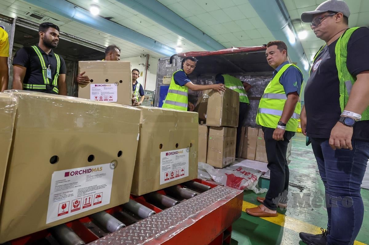 SHIZ Kassim (kanan) meninjau kerja-kerja pemindahan 270 kotak berisi kotak hadiah premium Orkid Mokara di KLIAsebelum diterbangkan ke Dubai. FOTO Bernama