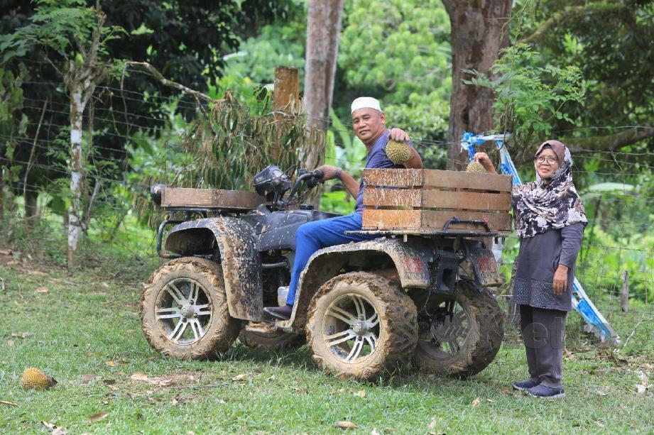 WARGA emas Ishak Bidin dan isterinya Sutinah Daud menyediakan durian percuma kepada pengunjung kediamannya di Kampung Dusun Kalong, Ulu Cheka. FOTO Mohd Rafi Mamat