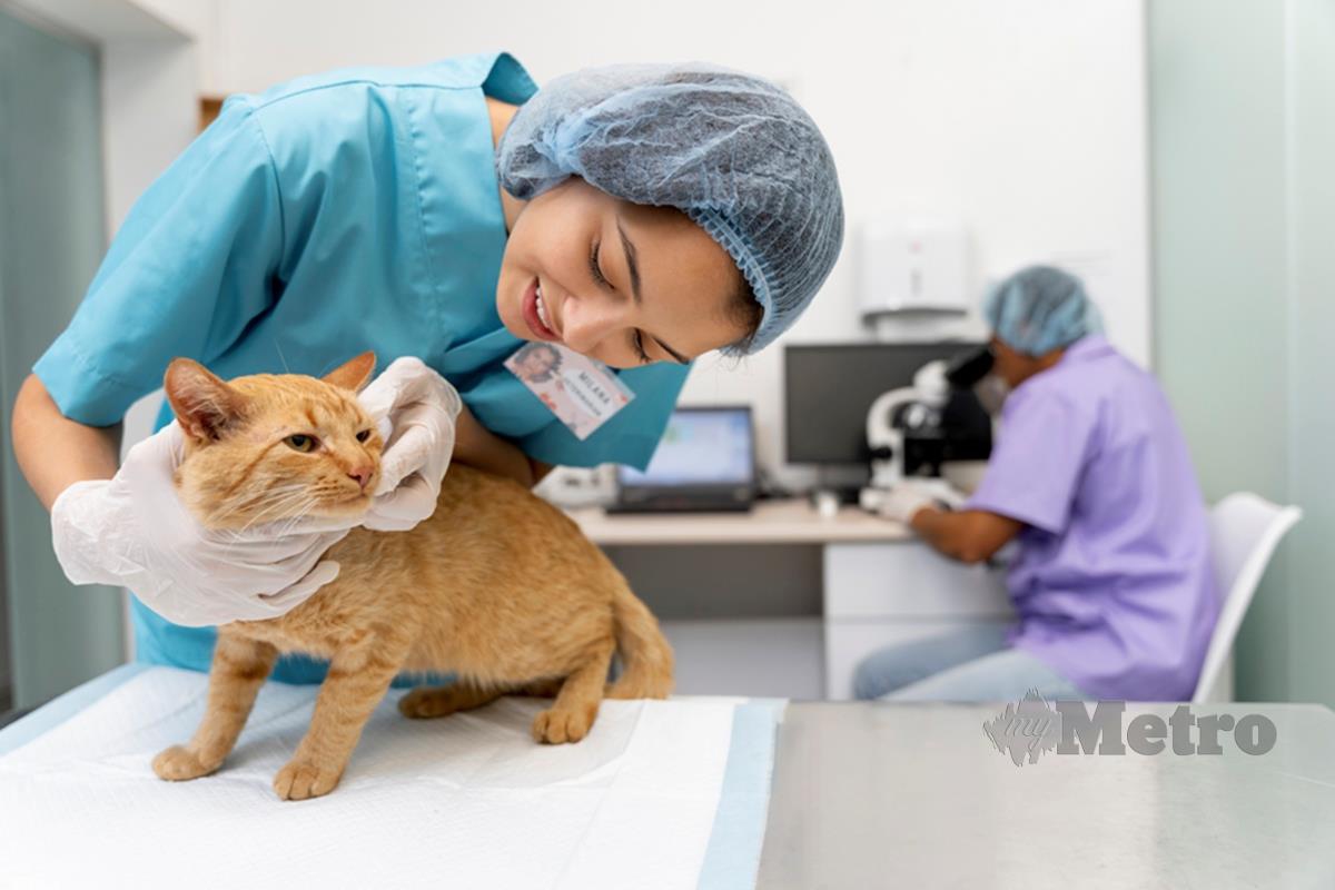BAWA haiwan ke klinik untuk mengenal pasti punca stres. 
