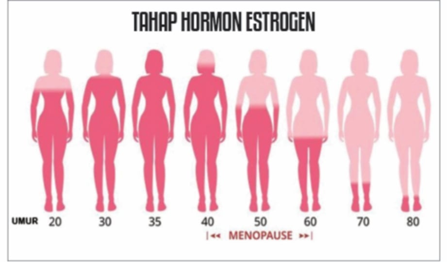 PERINGKAT hormon estrogen yang berubah mengikut fasa usia - FOTO Google