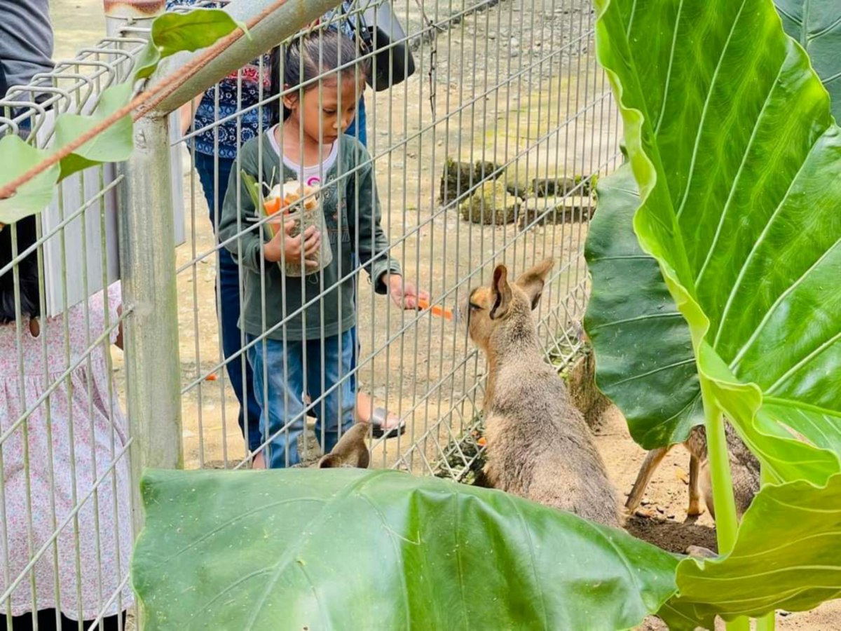 MANFAATKAN cuti sekolah dengan mendekatkan diri anak-anak kepada haiwan.
