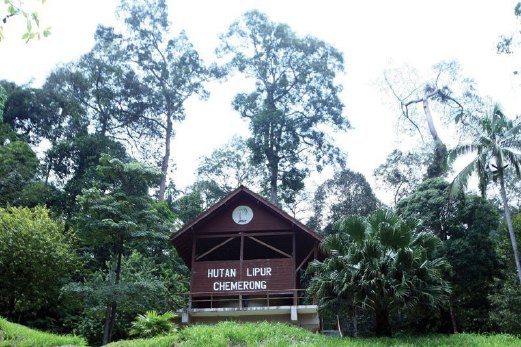 MENARA tinjau Hutan Lipur Chemerong memberi peluang kepada pengunjung melihat keindahan kawasan sekeliling. 