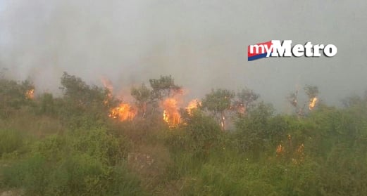 Padang rumput milik Besut Setiu Agropolitan (BSA) dekat Permaisuri yang terbakar petang tadi. - Gambar MOHAMMAD ISHAK