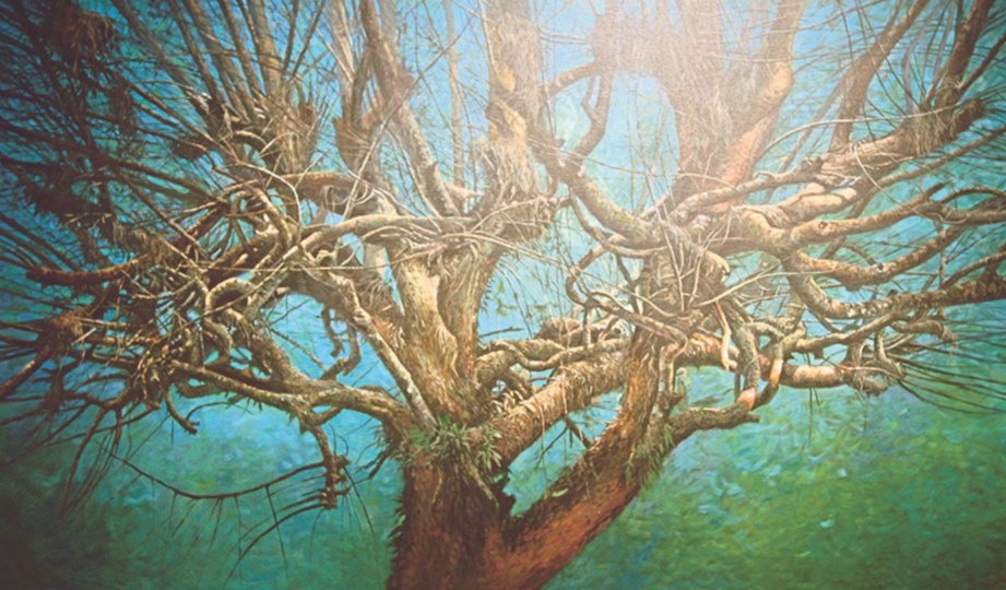 JOHAN Marjonid menerusi ‘Biar Pohon Ini Yang Bercerita I’.