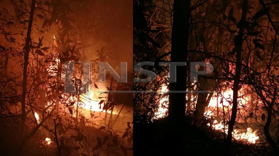 HUTAN di Kampung Kundur Hulu terbakar semalam. FOTO Ihsan Bomba