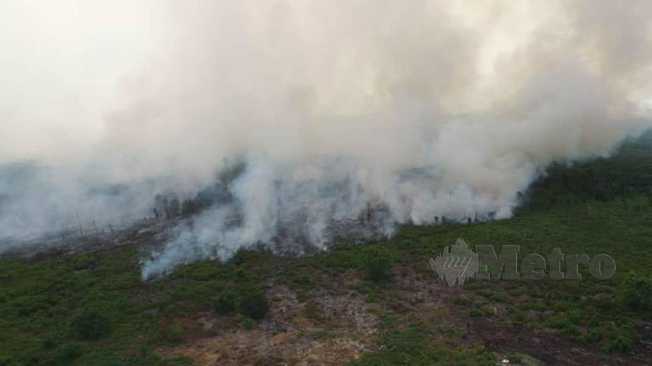 RAKAMAN gambar lama ketika kebakaran hutan di kompartmen 21 Hutan Simpan Kuala Langat Selatan.  FOTO Ihsan UPBN
