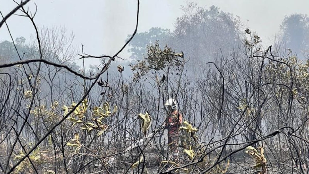ANGGOTA bomba memadamkan kebakaran hutan berhampiran Taman Vista Jaya. FOTO Ihsan Bomba