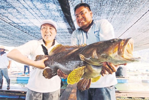 YAMADA (kiri) bersama Mohd Addin menunjukkan antara ikan yang menjadi pilihan pembeli di pasar Raya AEON.