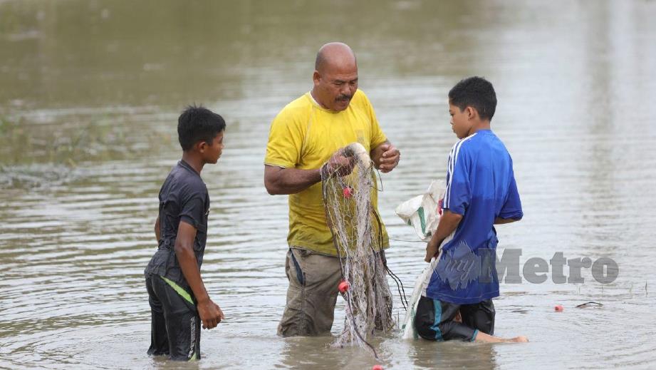 MUHAMMAD Syukur (kanan) bersama Khamis mengeluarkan ikan dari pukat di kawasan paya berdekatan kandang kerbaunya di Kampung Kubang Bujuk, Kuala Terengganu. FOTO ihsan Dallah Deen.