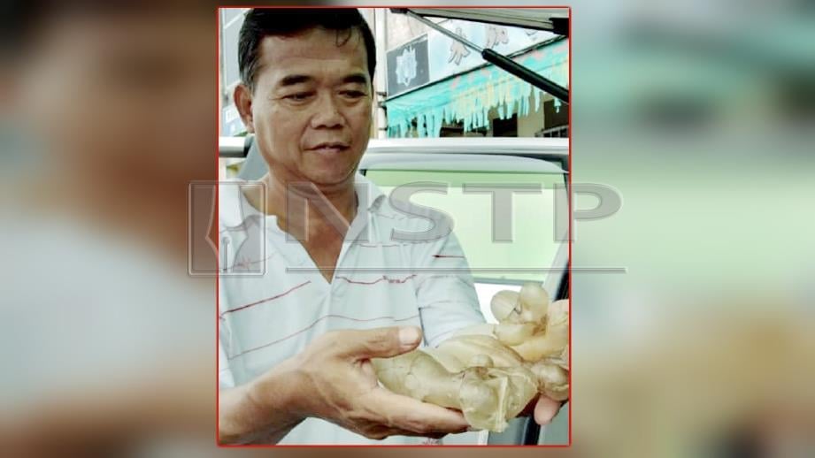 Limpa ikan RM60,000 sekilogram!  Harian Metro