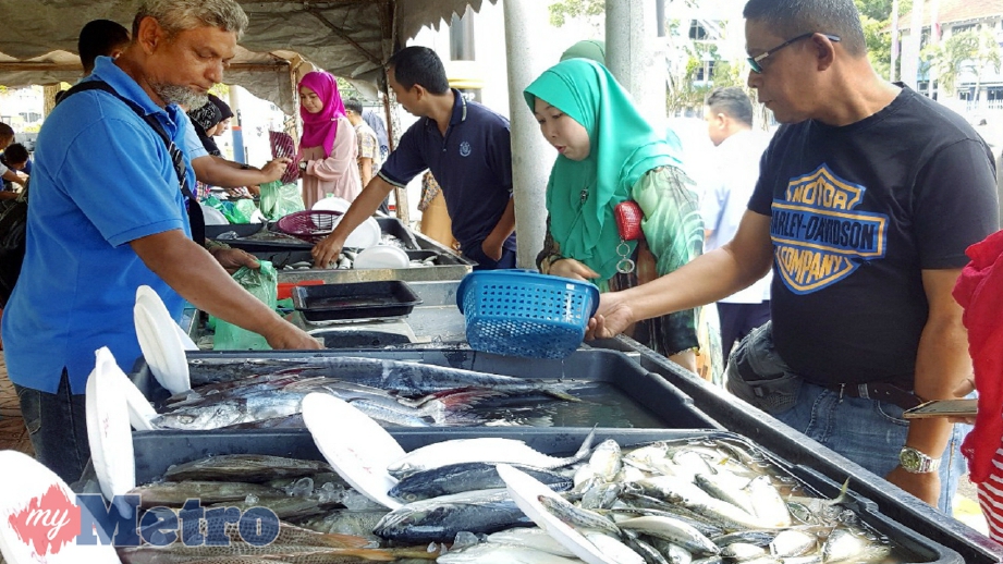 HARGA ikan terpaksa dinaikkan berikutan perubahan angin monsun timur laut menyebabkan nelayan sukar ke laut. FOTO Hamzah Osman 