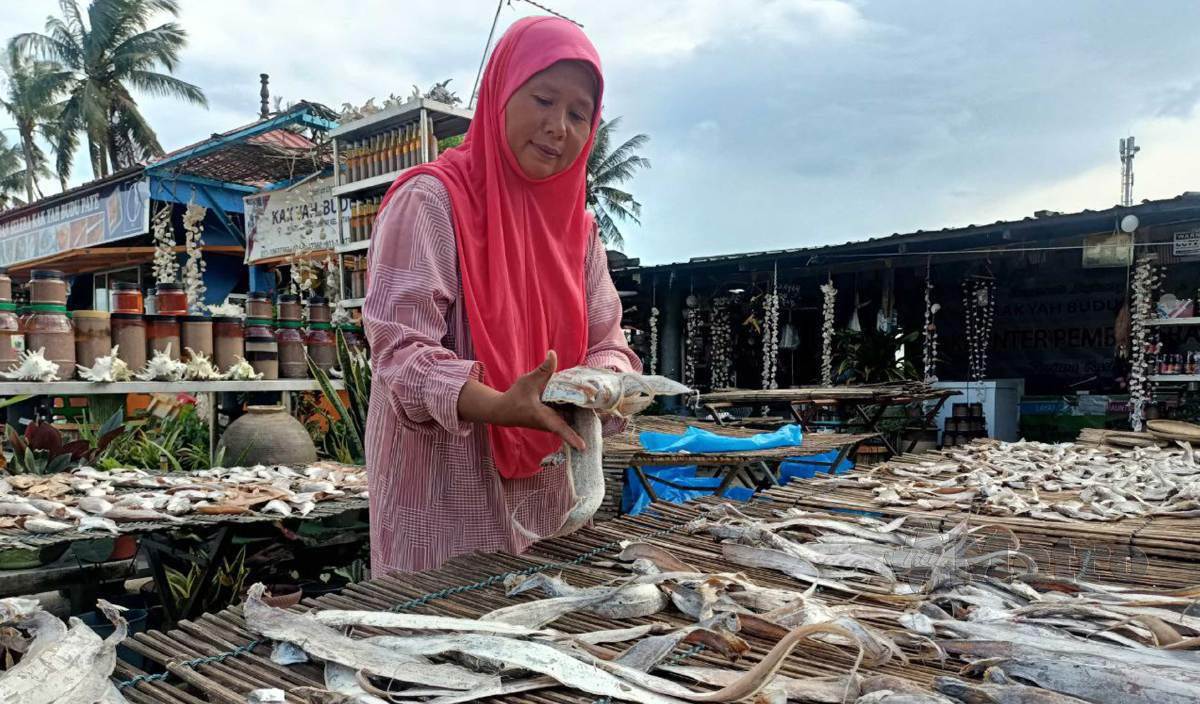 WAN Sapiah menjemur ikan bekok dan ikan masin di kedainya di Pantai Geting. FOTO Siti Rohana Idris