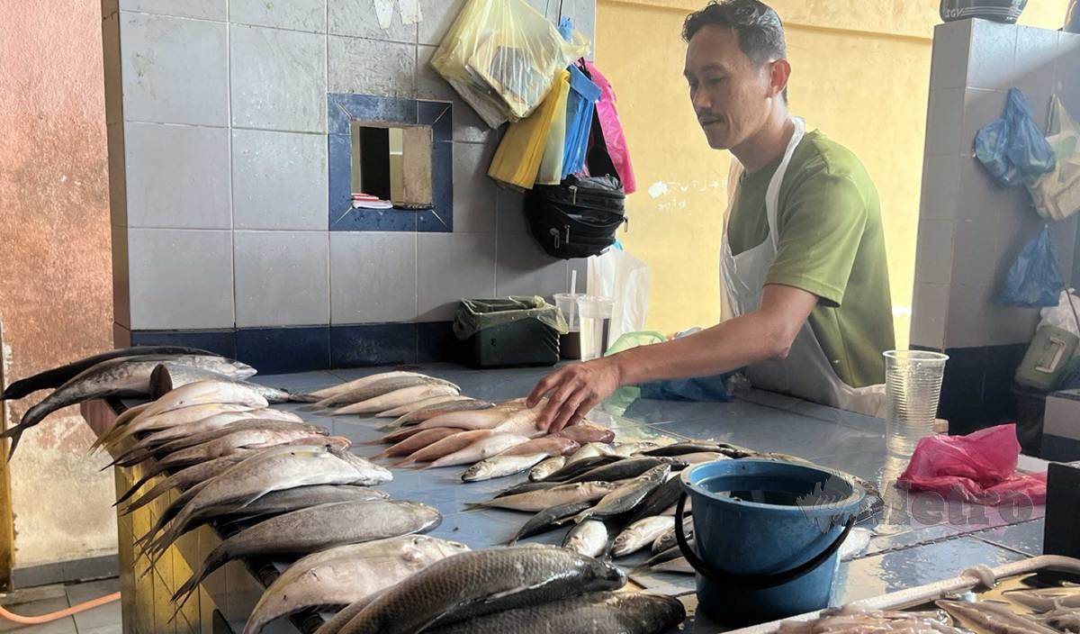 MOHD Helmi menyusun bekalan ikan yang dijualnya di Pasar Bukit Besar. FOTO Zatul Iffah Zolkiply